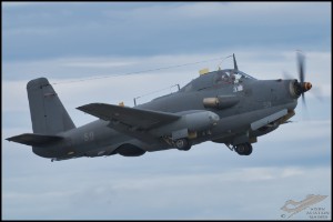 NZ6_4980