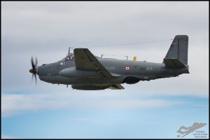 NZ6_5011