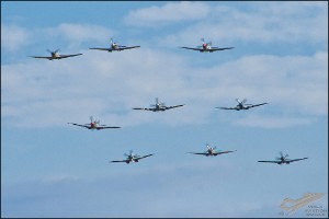 D75_8825
