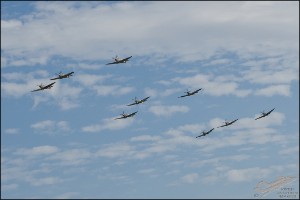 D75_8830