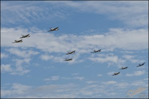 D75_8834