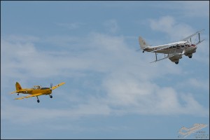 NZ6_1743