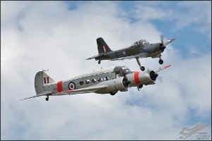 NZ6_1796