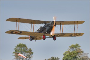 NZ6_1901