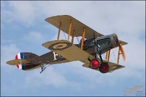 NZ6_1907