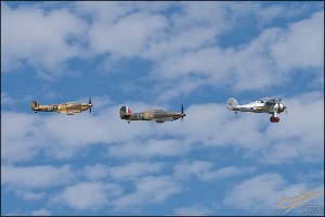 NZ6_2164