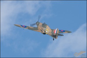 NZ6_2203