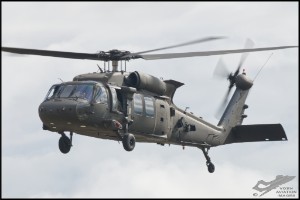 NZ6_2515