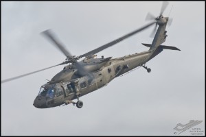 NZ6_2520
