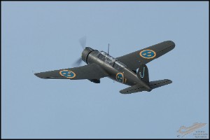 NZ6_3119