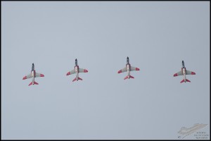 NZ6_3204