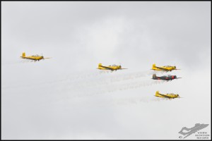 NZ6_3241