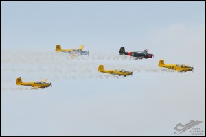 NZ6_3264