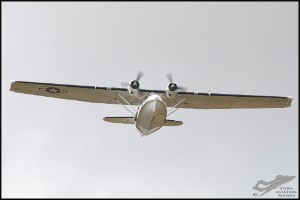 NZ6_3367