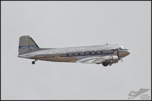 NZ6_3384