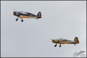 NZ6_3392