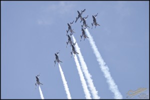 NZ6_3669