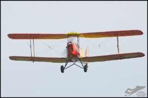 NZ6_3789