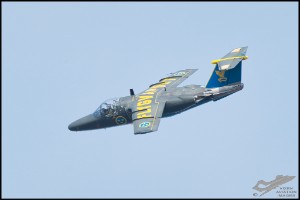 NZ6_3800