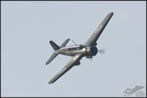 NZ6_3818