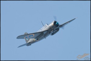 NZ6_3834