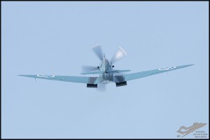 NZ6_3842