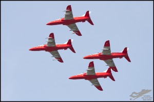 NZ6_3860