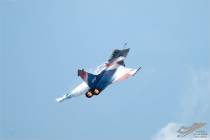 NZ6_3954
