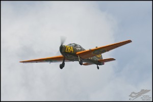 NZ6_4056