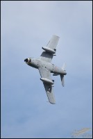NZ6_4078